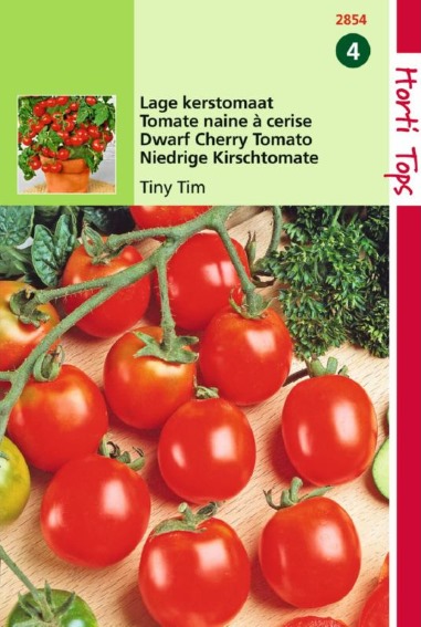 Tomato Tiny Tim (Solanum) 125 seeds HT